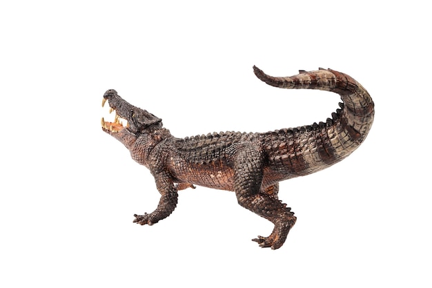 Kaprosuchus Dinosaur on white background