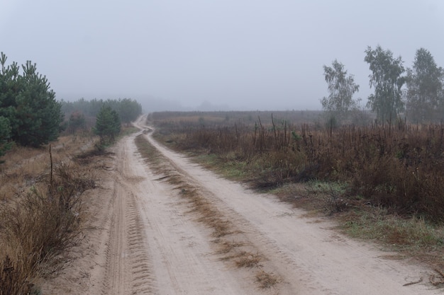 Kar-weg tussen velden in mist. Herfst landschap