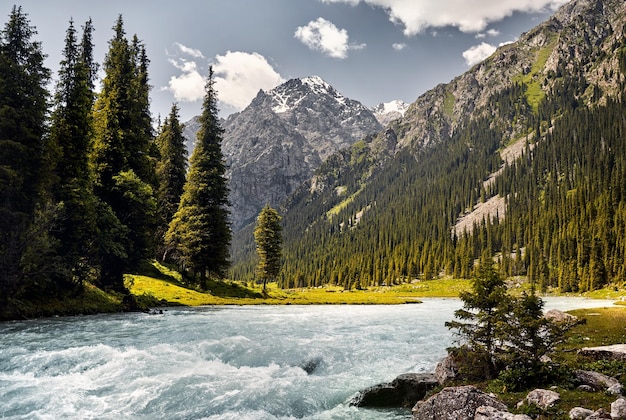 Karakol river in the mountains