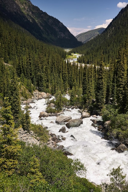 Karakol rivier in de bergen