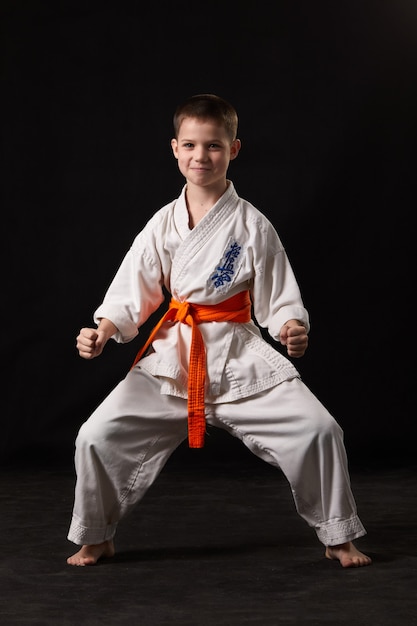 Karate in een pose