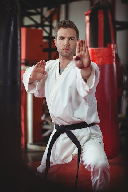 Karate player performing karate stance