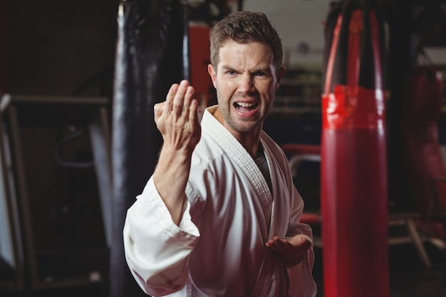 Karate player performing karate stance