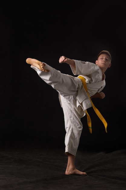 Karate in a pose