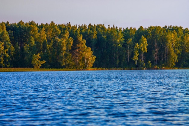 Karelian lake with edge of forest with selective focus