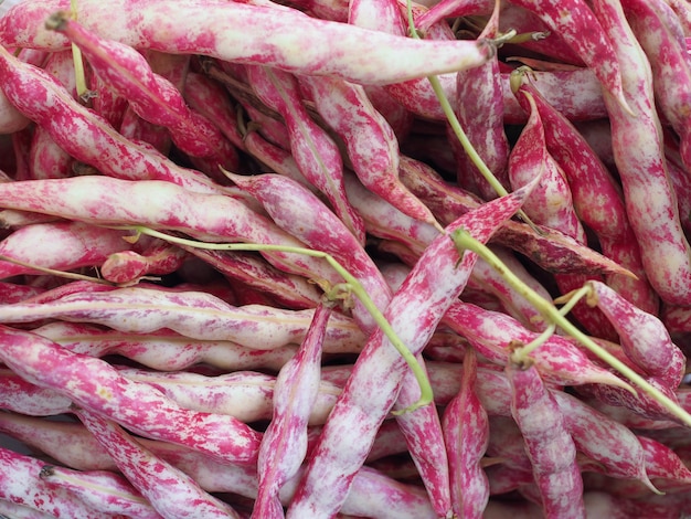 Karmozijnrode bonen peulvruchten groenten eten