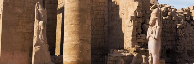 Karnak Tempel Kolossale sculpturen van het oude Egypte in de Nijlvallei in Luxor In reliëf gemaakte hiërogliefen op de muur