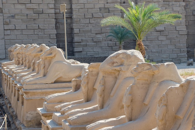 Храм Карнака Египетская художественная авеню сфинксов с головой барана Луксор Египет.