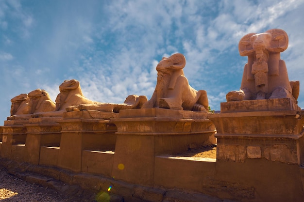 Karnak Temple sphinxes alley The largest temple complex of antiquity in the world UNESCO World Heritage