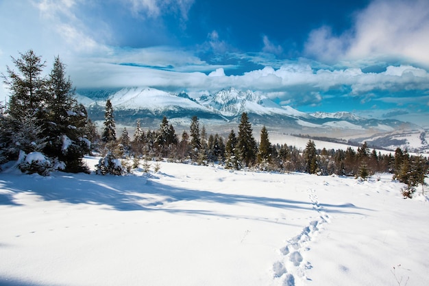 Karpaten in de winter, zonnige dag en uitzicht op de bergen