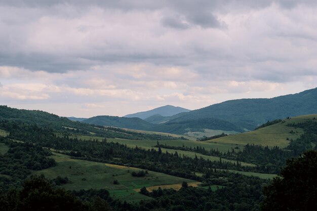 Karpaten in Oekraïne, landschapsmening