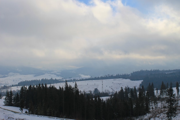 Karpaten in oekraïne. winterlandschap