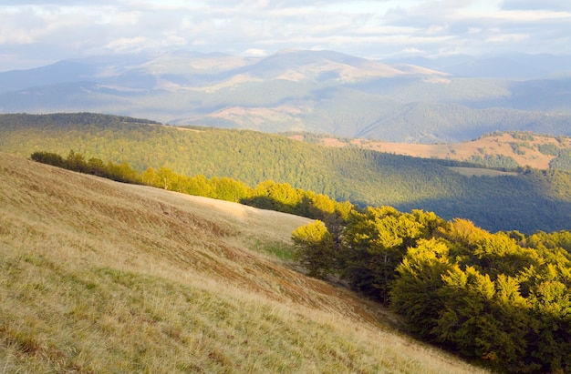 Karpaten (Oekraïne) herfst landschap met bewolkte hemel