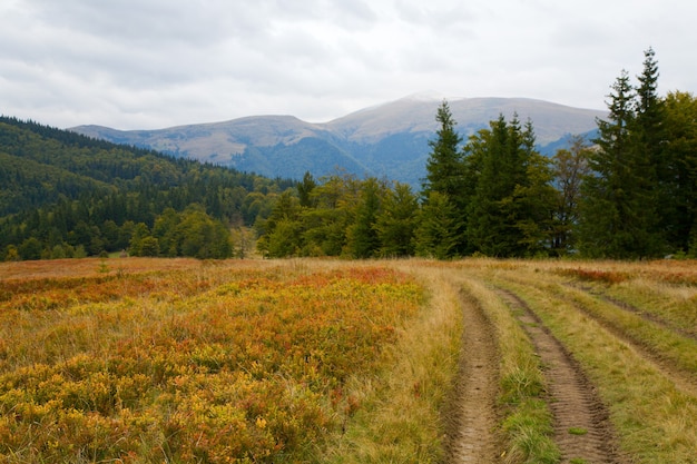 Karpaten (Oekraïne) herfst landschap met landweg.