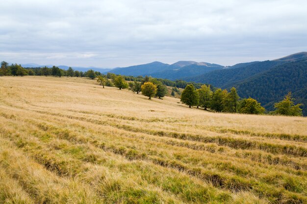 Karpaten (Oekraïne) herfst landschap met landweg.