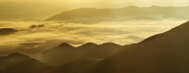 Karpaten zomer gouden zonsopgang landschap met mistige rive panoramische viewr