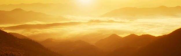 Karpaten zomer gouden zonsopgang landschap met mistige rivier panoramisch uitzicht