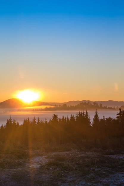 Karpaten zonnig berglandschap