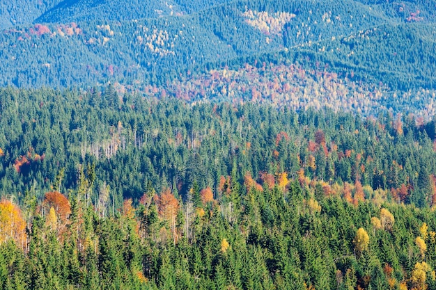 Karpaten zonnige berglandschap