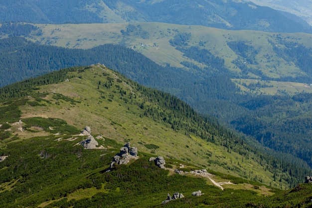 Karpatengebergte op zomerochtend Schoonheid van de wilde, maagdelijke Oekraïense natuur Vreedzaamheid