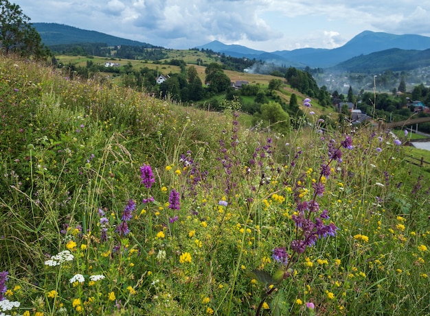 Foto karpatische berglandschap zomerweiden met prachtige wilde bloemen