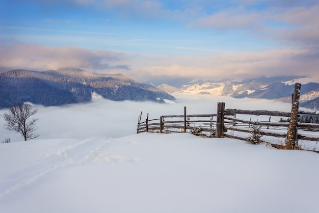 Karpatische winterbergen