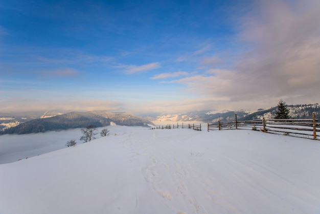 Karpatische winterbergen