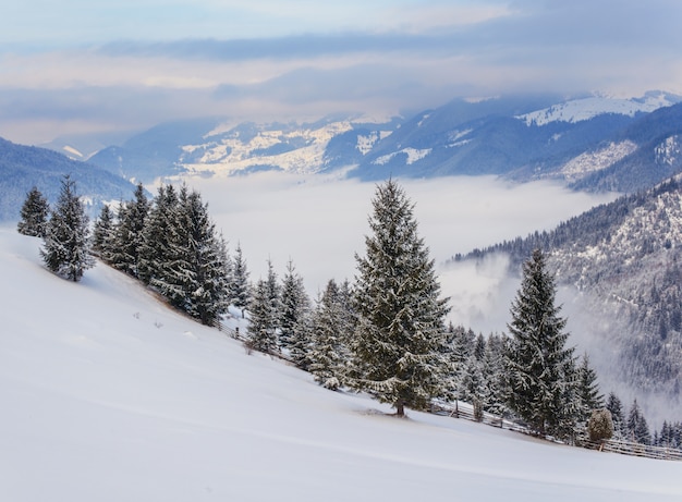 Karpatische winterbergen