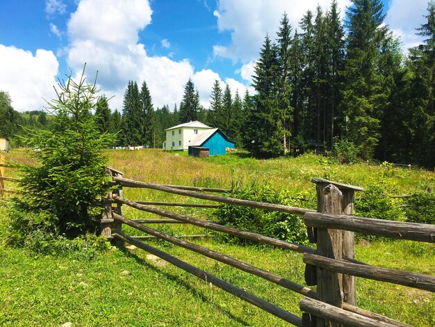 Karpaty is een schilderachtige plaats in de bergen in Oekraïne