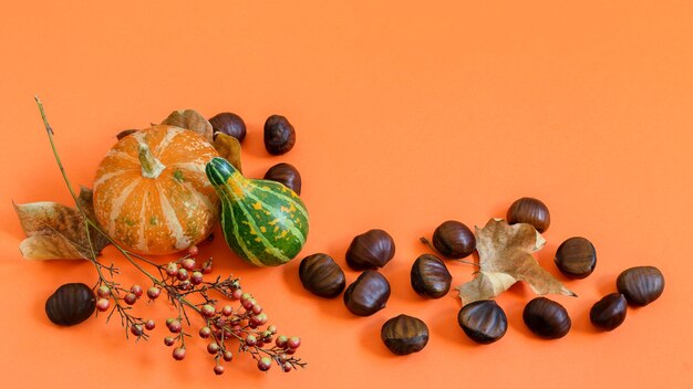 Kastanjes en decoratieve pompoenen op het oranje papier, bovenaanzicht, ruimte voor uw tekst