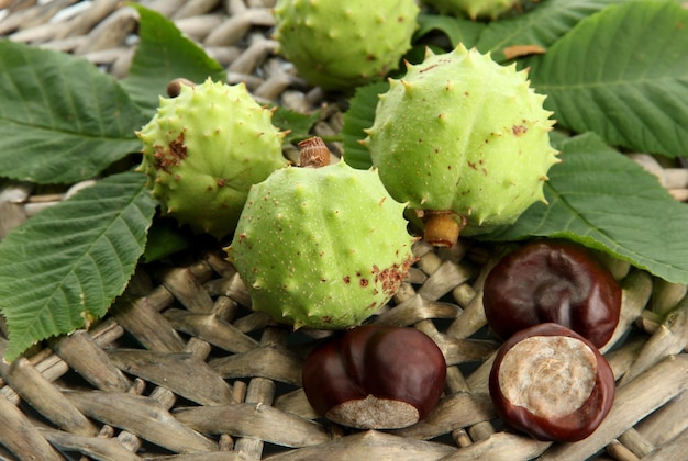 Kastanjes met bladeren op rieten achtergrond