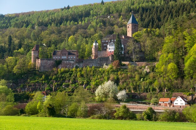 Kasteel bij Zwingenberg in Duitsland