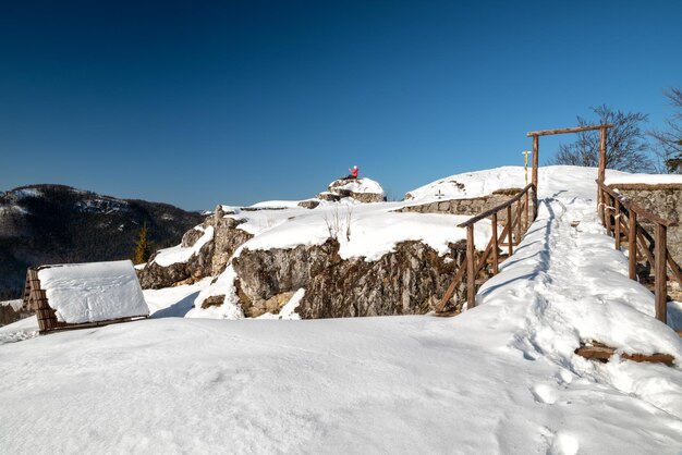 Kasteel liptovsky hrad bedekt met sneeuw tijdens de harde winter