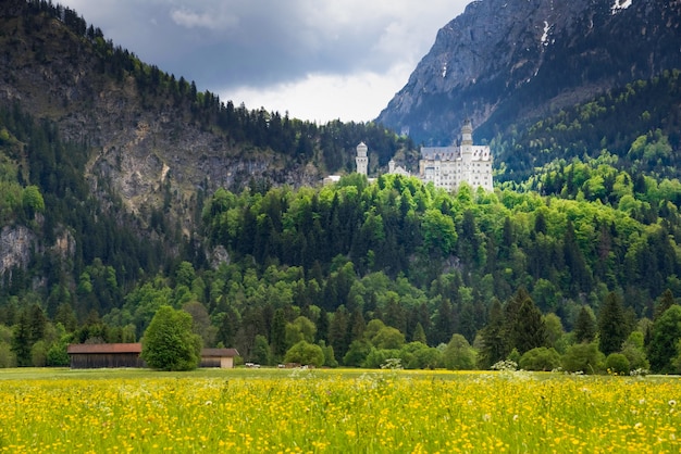 Kasteel Neuschwanstein is een negentiende-eeuws Romaans Revival-paleis op een ruige heuvel