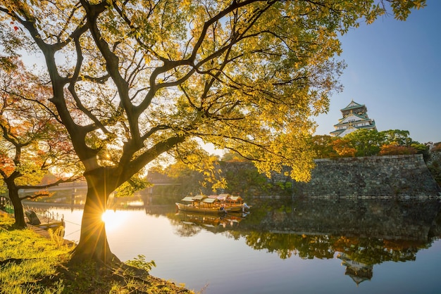 Kasteel Osaka in de herfst van Osaka Japan