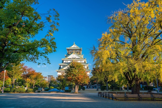 Kasteel Osaka in de herfst van Osaka Japan