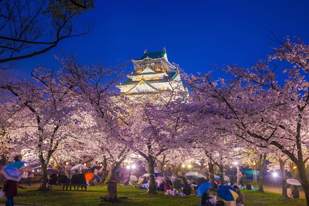 Kasteel van Osaka met volle bloei van Sakura in Japan