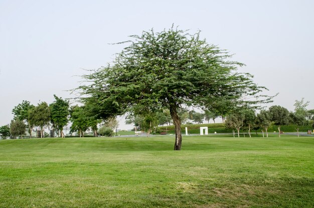 The Katara cultural village of DohaQatar