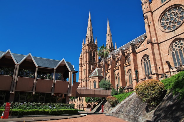 Kathedraal in hyde park van Sydney, Australië