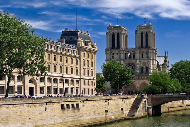 Kathedraal Notre Dame in Parijs Frankrijk