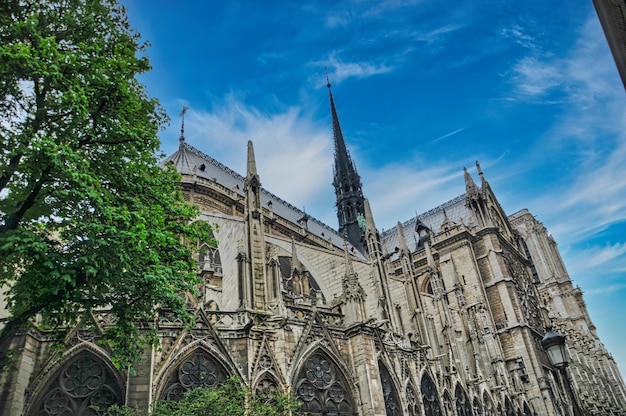 Kathedraal notre dame in Parijs