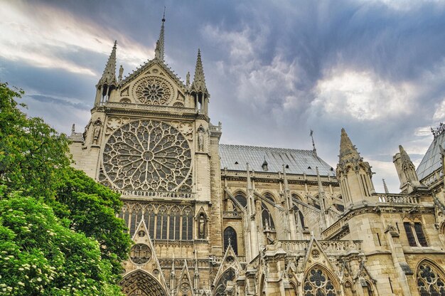 Kathedraal notre dame in Parijs