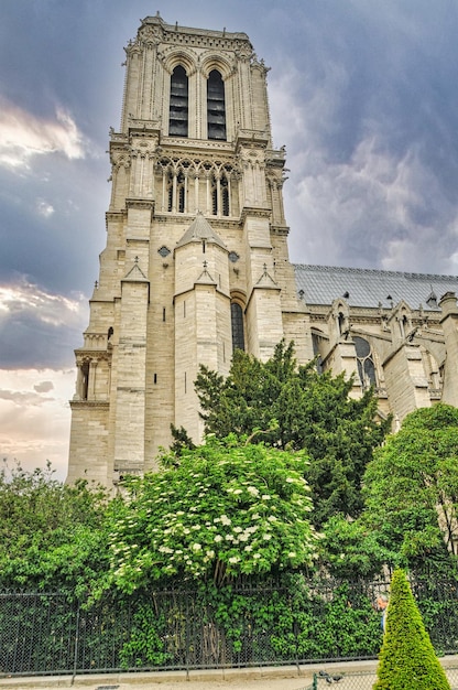 Kathedraal notre dame in Parijs