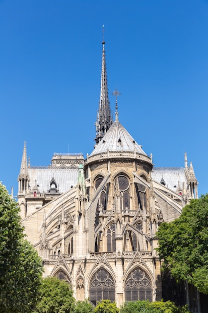 Kathedraal notre dame parijs