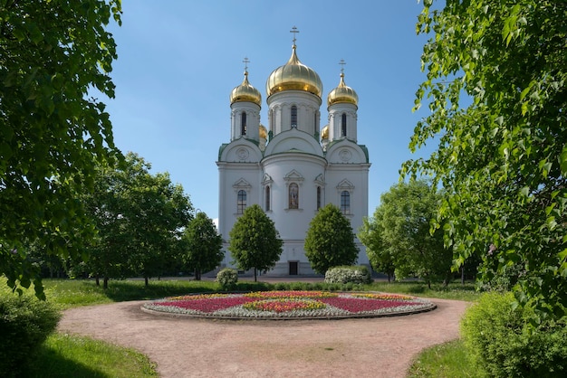 Kathedraal van de Heilige Grote Martelaar Catharina op een zonnige zomerdag Poesjkin Sint-Petersburg Rusland