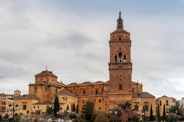 Kathedraal van de incarnatie van Guadix Granada