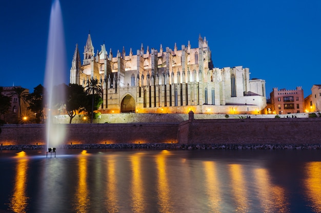 Foto kathedraal van mallorca landschap