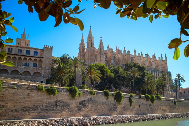 Kathedraal van Palma de Mallorca