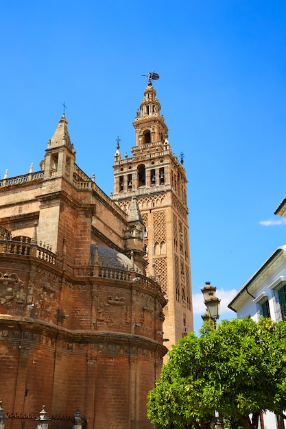 Kathedraal van sevilla giralda toren van sevilla