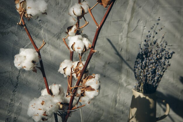 Katoenen bloemen in een vaas